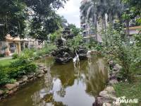 丽江花园实景图图片