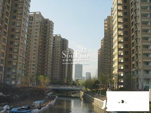 雅戈尔世纪花园实景图图片