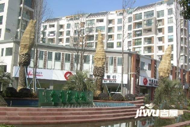 常青藤单身公寓实景图图片