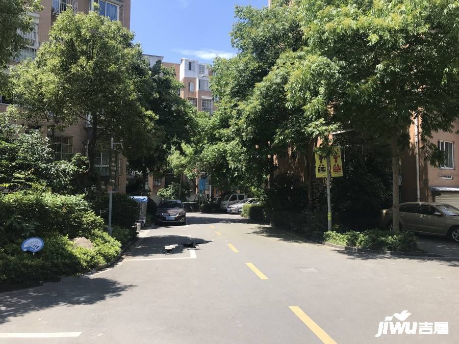 锦悦湾实景图图片