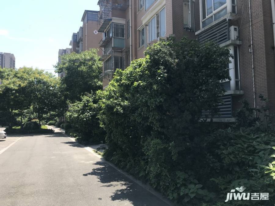 锦悦湾实景图图片