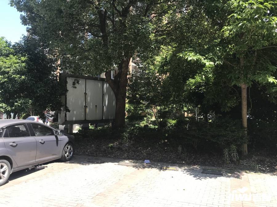 锦悦湾实景图图片