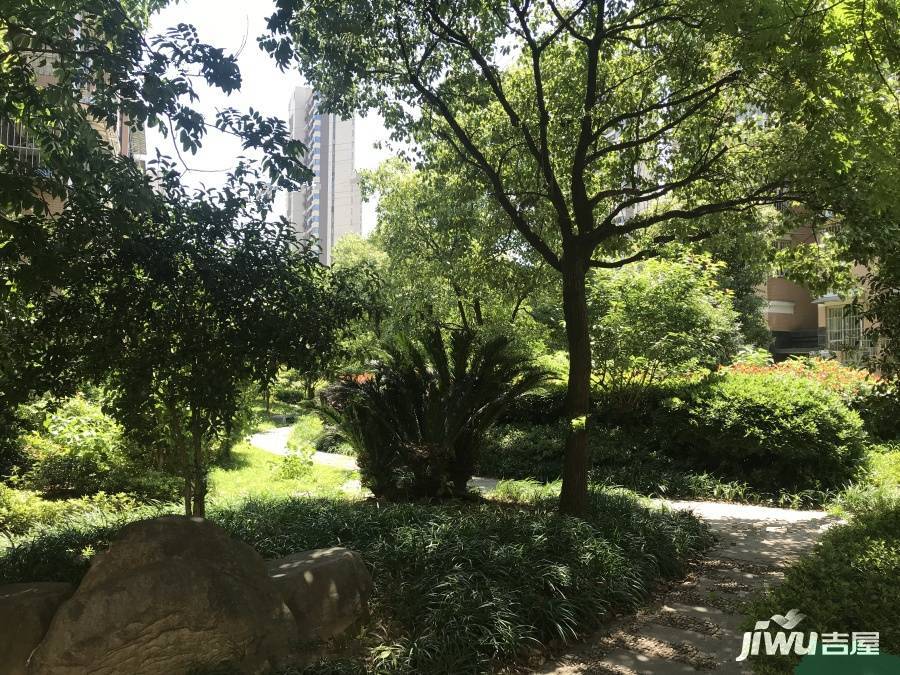 锦悦湾实景图图片