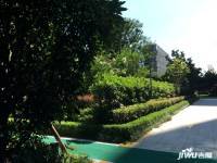 宁波中心兰园实景图图片