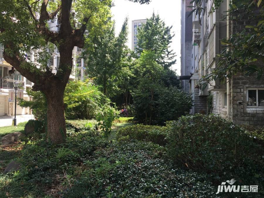 浅水湾城市花园实景图图片