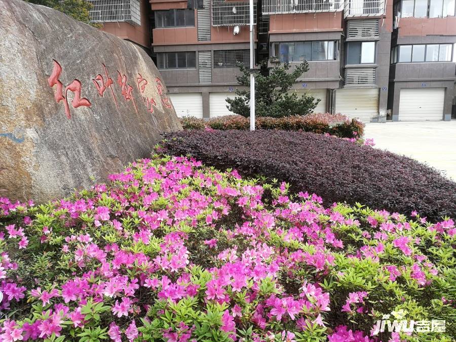 红叶新家园实景图图片