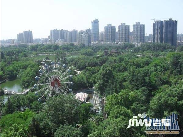 兴庆9号实景图图片