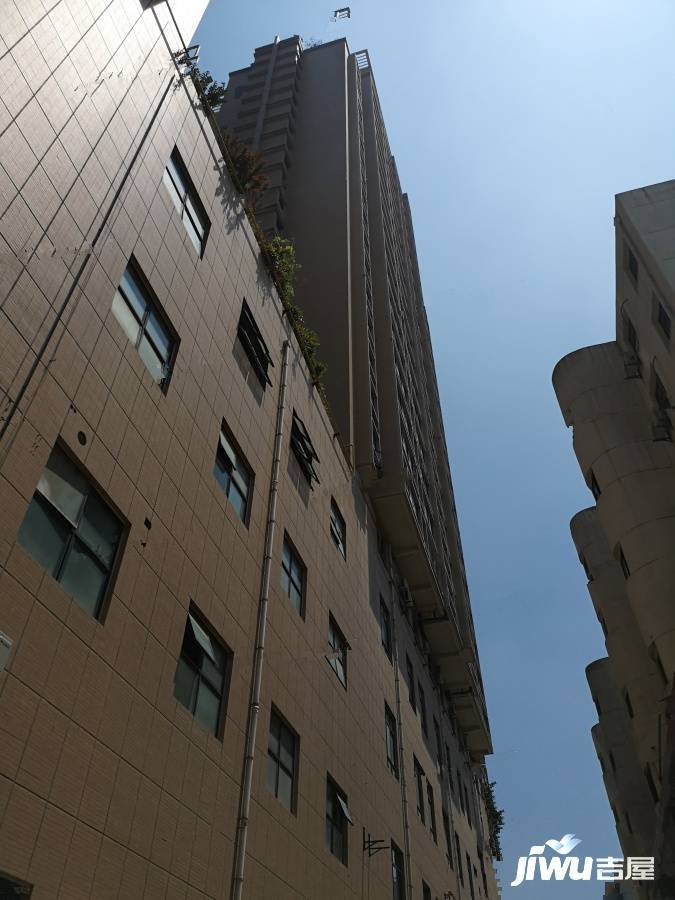 梧桐朗座实景图图片