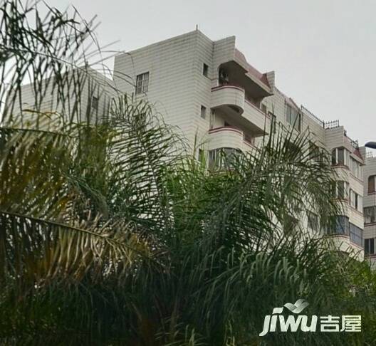 海洲大厦实景图图片