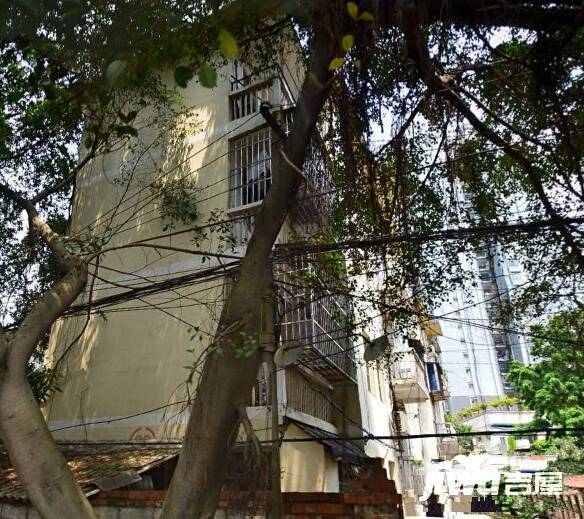 茅桥监狱生活小区实景图图片