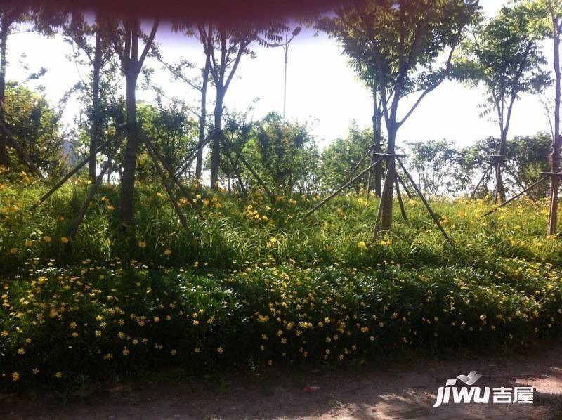 朝阳新村实景图图片