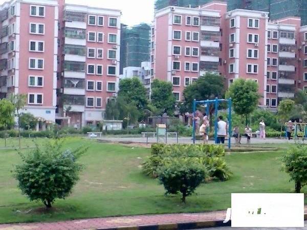 北园新村实景图图片