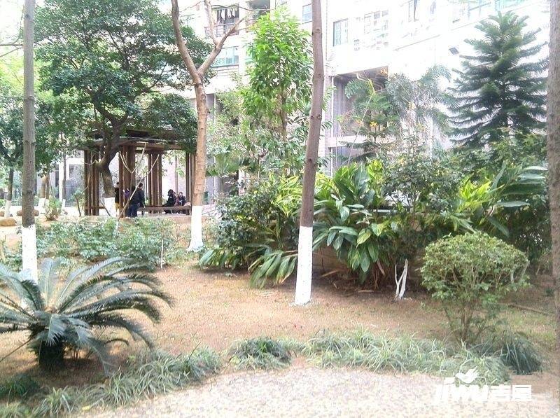 城市风景实景图图片