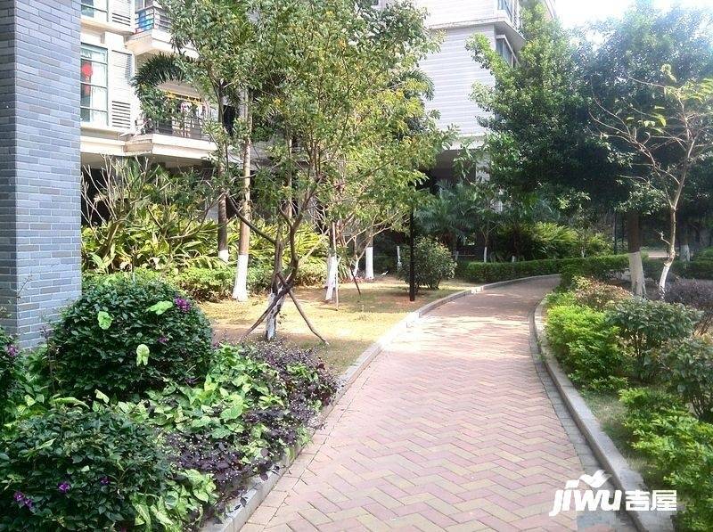 城市风景实景图图片