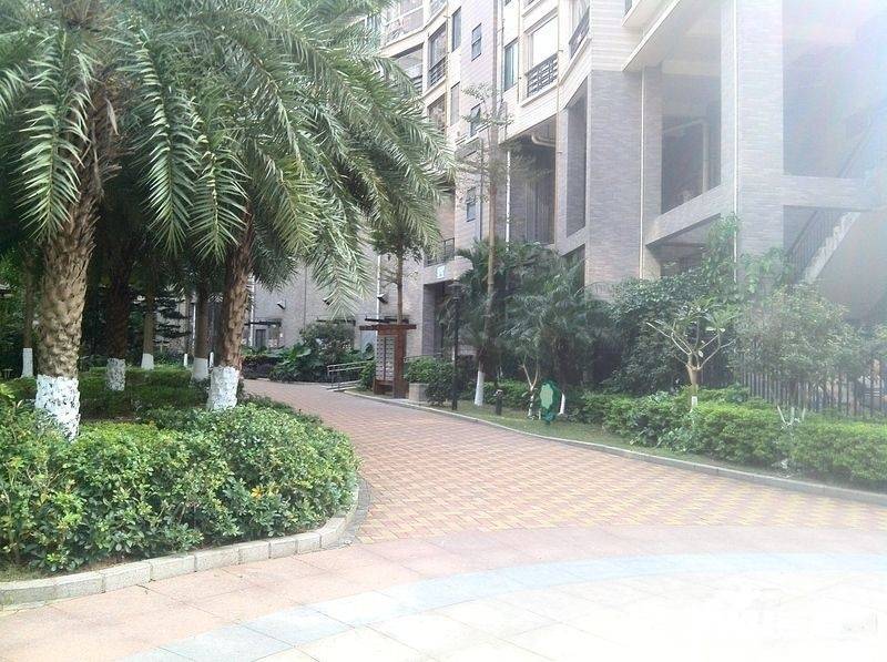 城市风景实景图图片