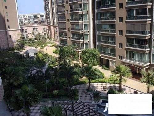 龙洲湾花园实景图图片