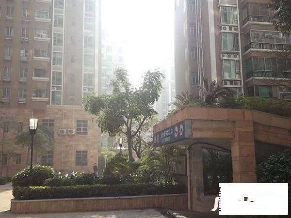 龙洲湾花园实景图图片