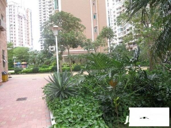龙洲湾花园实景图图片