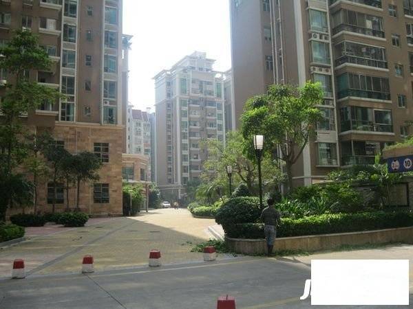 龙洲湾花园实景图图片