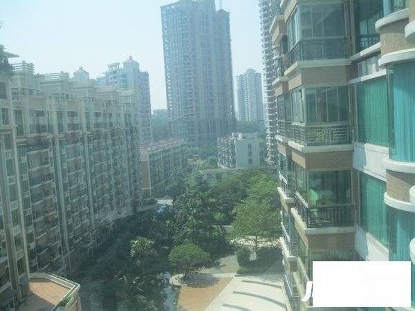 龙洲湾花园实景图图片