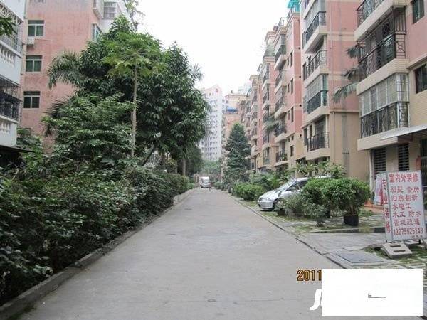 海湾德馨苑实景图图片