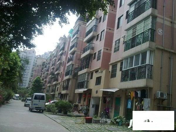 海湾德馨苑实景图图片