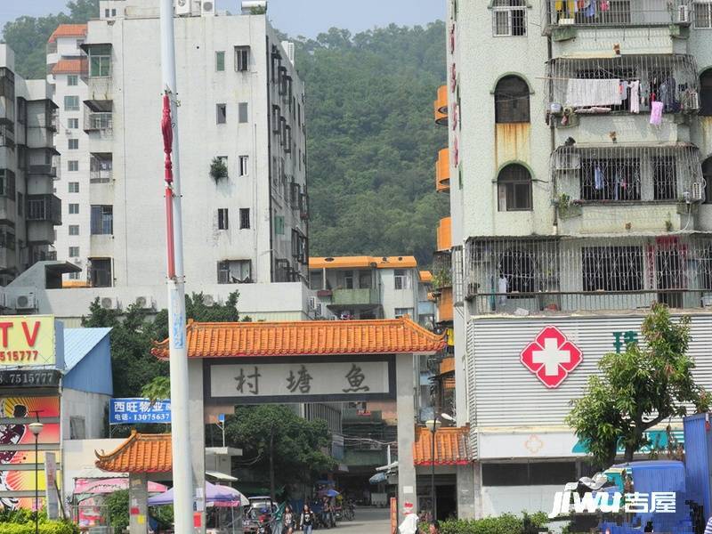 鱼塘村实景图图片