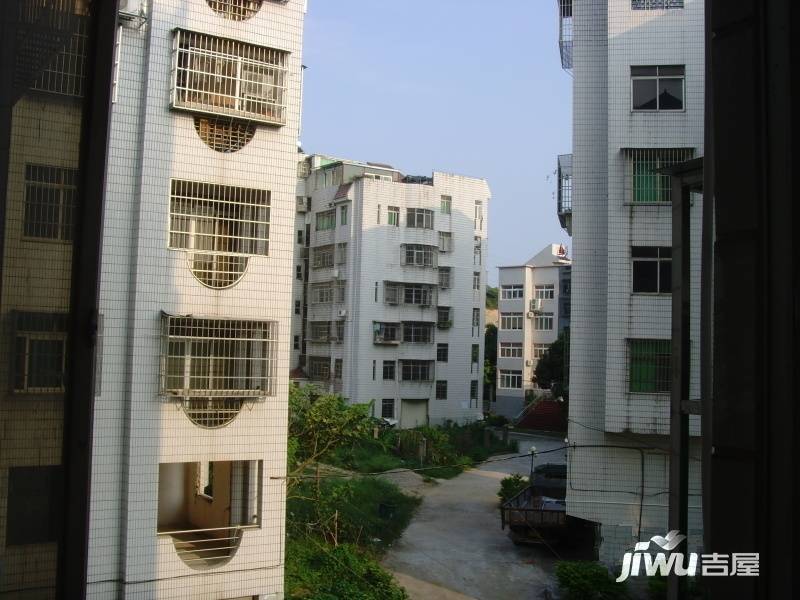 凤凰别墅小区实景图图片