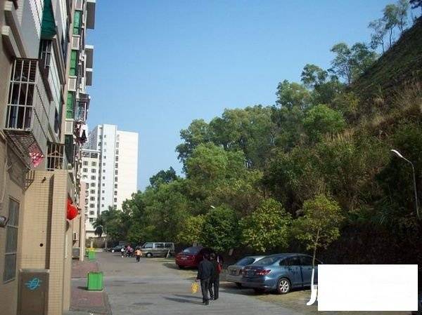 卓雅花园东苑实景图图片