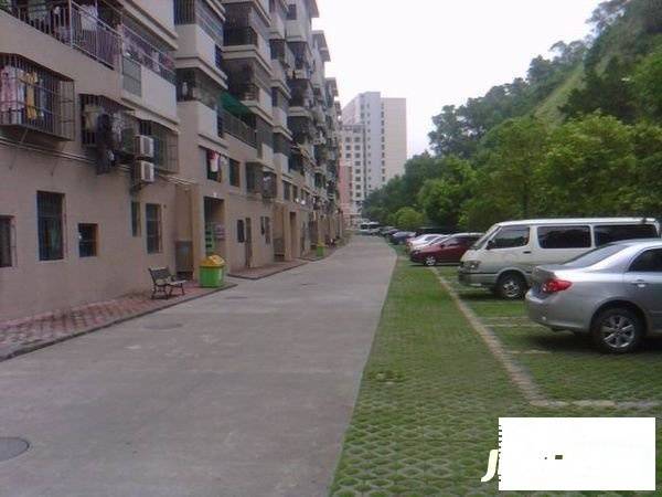 卓雅花园东苑实景图图片