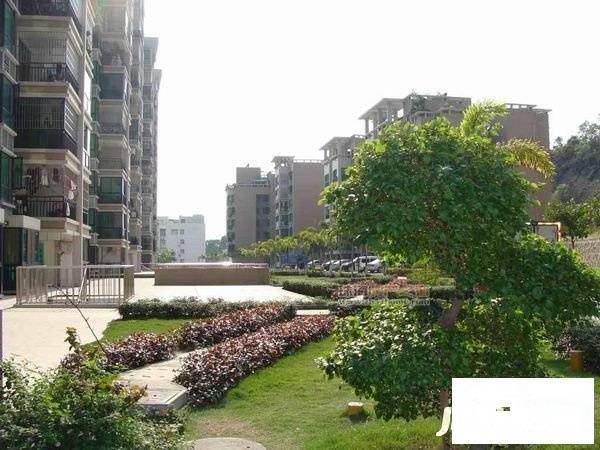 卓雅花园东苑实景图图片