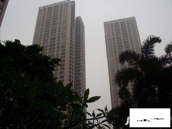 保利壹号公馆实景图图片