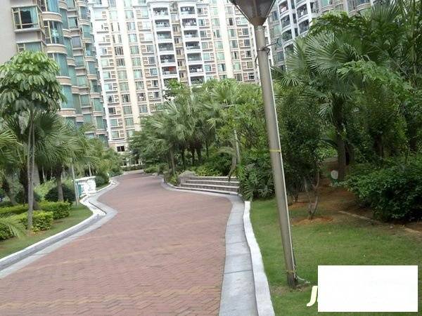 保利壹号公馆实景图图片