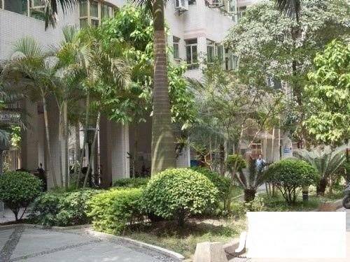 新威花园实景图图片