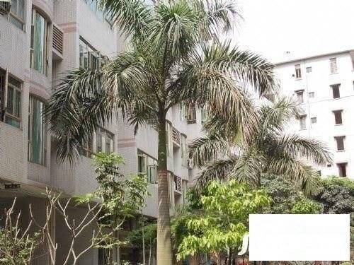 新威花园实景图图片