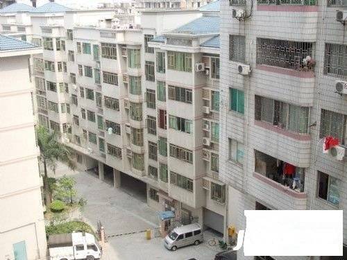 新威花园实景图图片
