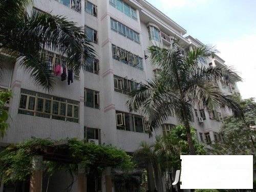 新威花园实景图图片
