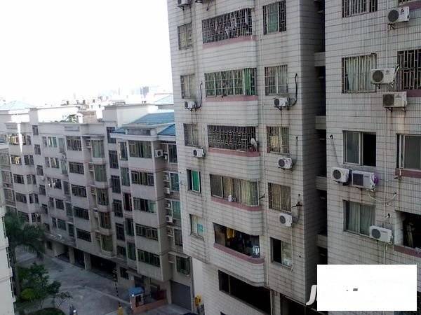 新威花园实景图图片