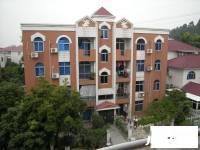 钟村顺德碧桂园实景图5