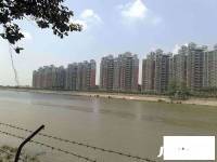 钟村顺德碧桂园实景图5