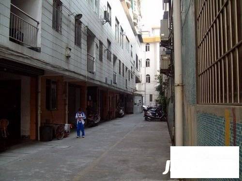 岐西路安利阁实景图图片