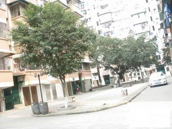 岐西路安利阁实景图图片