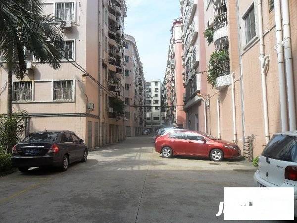 大良新桂园实景图图片