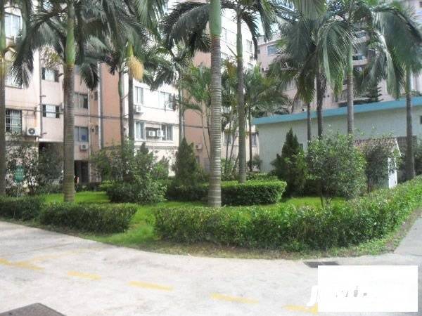 大良新桂园实景图图片