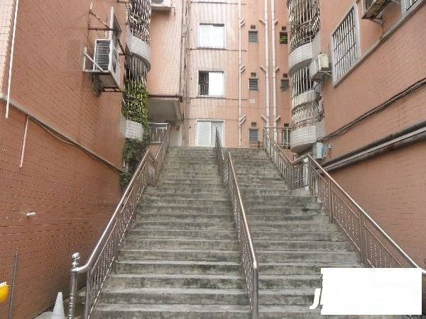 大良新桂园实景图图片