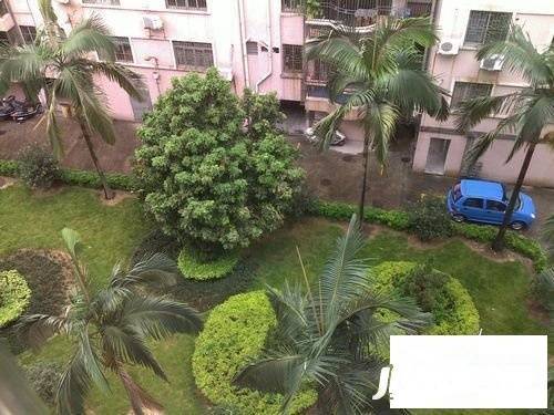 大良新桂园实景图图片