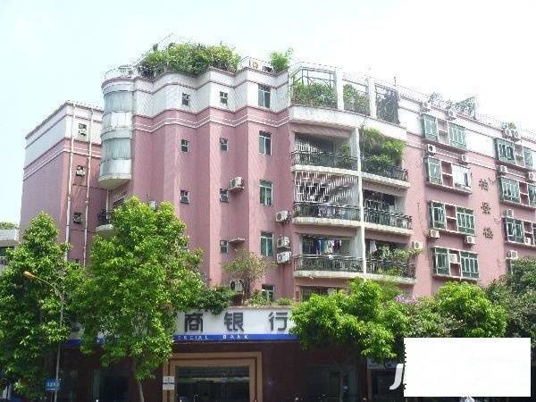 大良新桂园实景图图片