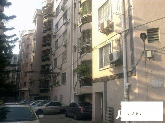 大良新桂园实景图图片