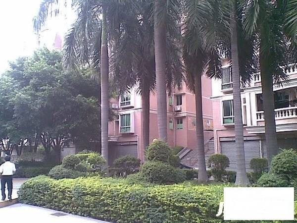 德宝花园实景图图片