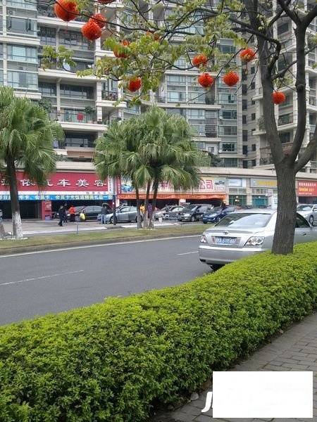 雍景豪园灏景台实景图图片
